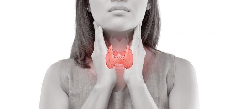 Qual a importância da tireoide e o que é hipertireoide e hipotireoide?