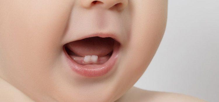 Como cuidar dos dentinhos que estão nascendo?