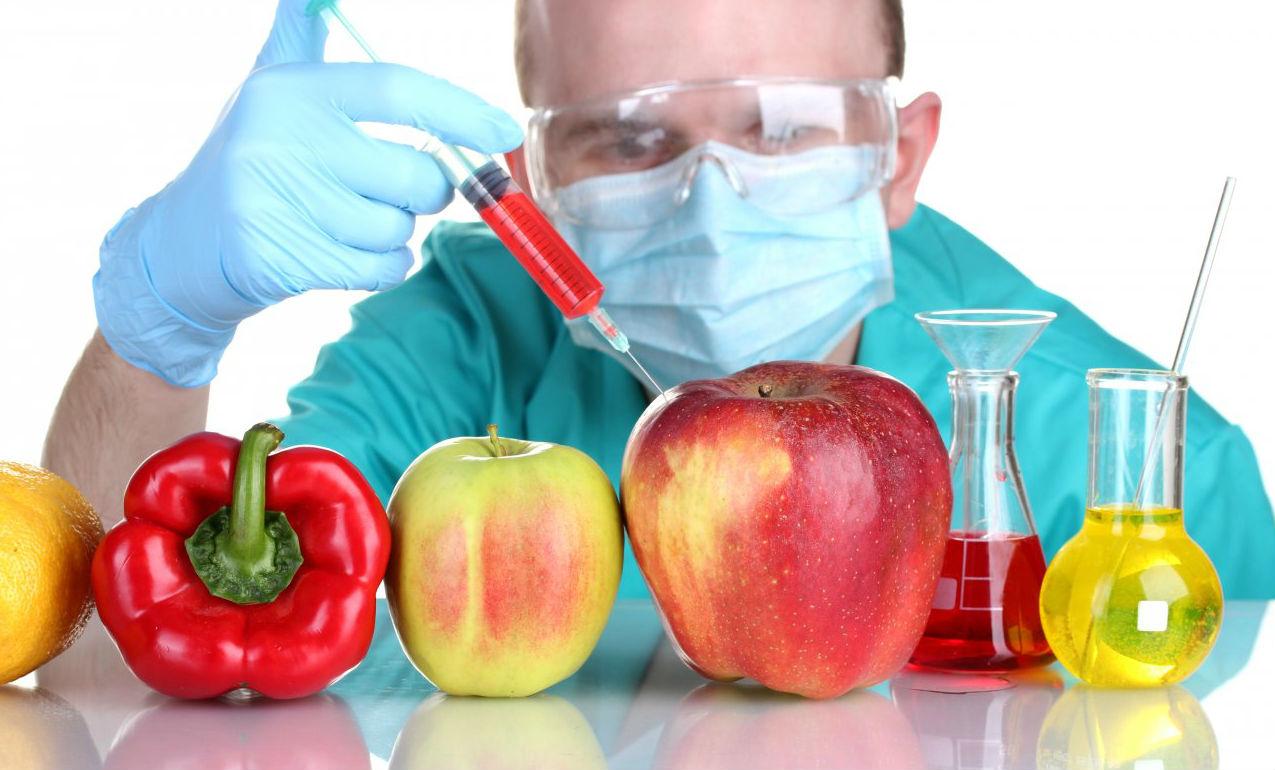 Já ouvir falar dos alimentos transgênicos? Saiba o que são.
